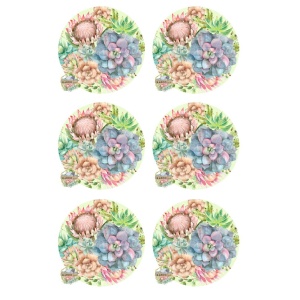 /ksdp/coasters/KSFP-OC023