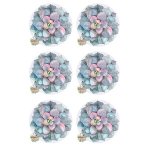 /ksdp/coasters/KSFP-OC024