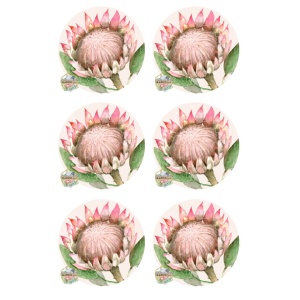 /ksdp/coasters/KSFP-OC025