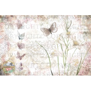 /ksdp/furniture/KS-FP024