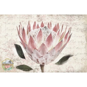 /ksdp/furniture/KS-FP057