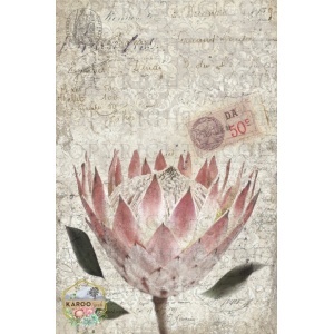 /ksdp/furniture/KS-FP058