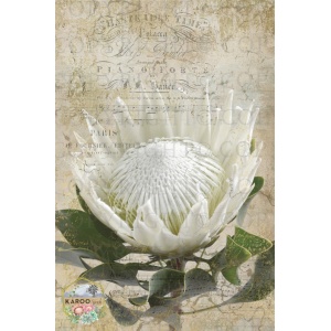 /ksdp/furniture/KS-FP059