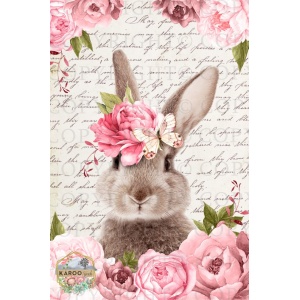 /ksdp/furniture/KS-FP080