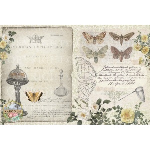 /ksdp/furniture/KS-FP093