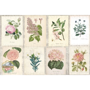 /ksdp/furniture/KS-FP203