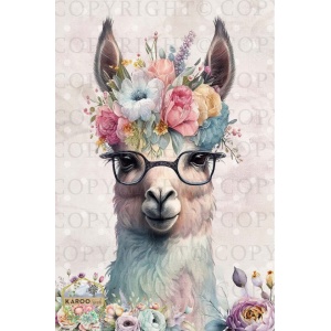 /ksdp/furniture/KS-FP249