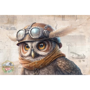 /ksdp/furniture/KS-FP255