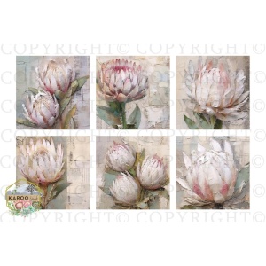 /ksdp/furniture/KS-FP299