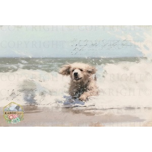 /ksdp/furniture/KS-FP305