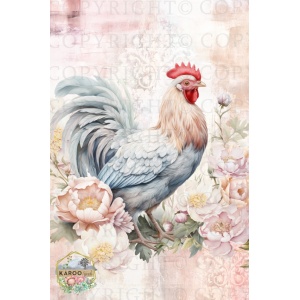 /ksdp/furniture/KS-FP317