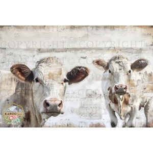 /ksdp/furniture/KS-FP329