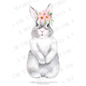 /waterslides/KS-WS012