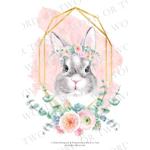 /waterslides/KS-WS016