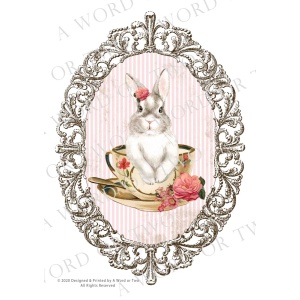 /waterslides/KS-WS017