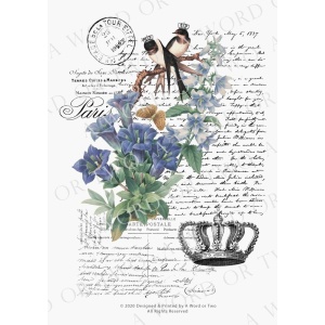 /waterslides/KS-WS025