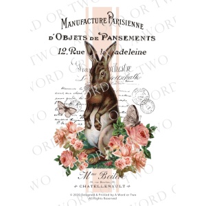 /waterslides/KS-WS040