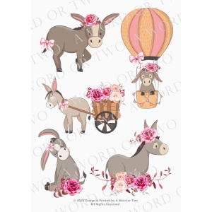 /waterslides/KS-WS050