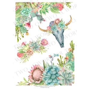 /waterslides/KS-WS056