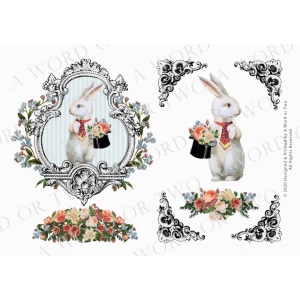 /waterslides/KS-WS058