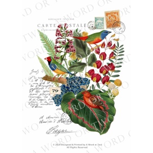 /waterslides/KS-WS063