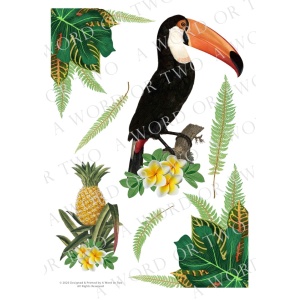 /waterslides/KS-WS064