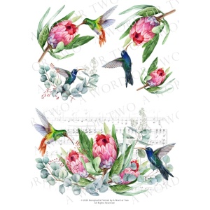 /waterslides/KS-WS071