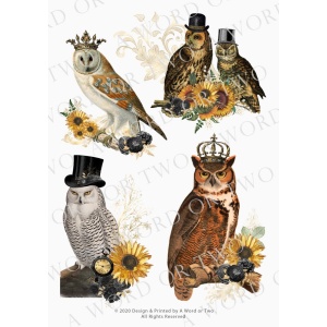 /waterslides/KS-WS078