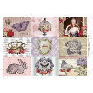 /waterslides/KS-WS123