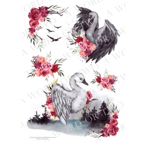 /waterslides/KS-WS133