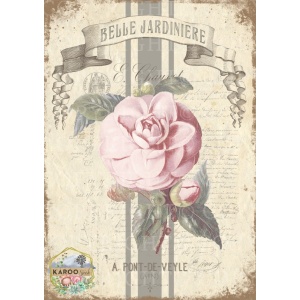 /waterslides/KS-WS152