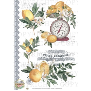 /waterslides/KS-WS160