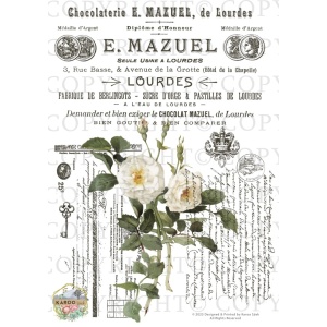 /waterslides/KS-WS164