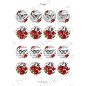 /waterslides/KS-WS169