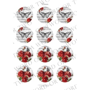 /waterslides/KS-WS170