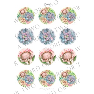 /waterslides/KS-WS172