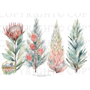 /waterslides/KS-WS180