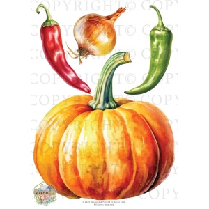 /waterslides/KS-WS198