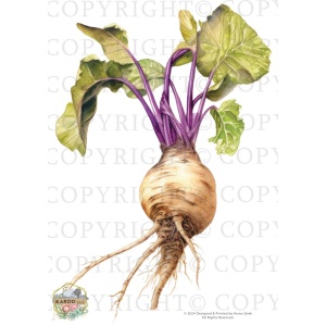 /waterslides/KS-WS199