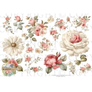 /waterslides/KS-WS203