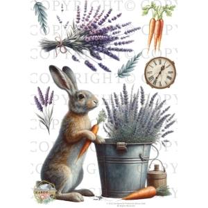 /waterslides/KS-WS207