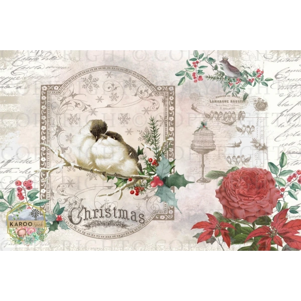 /christmas/KSFP-C008