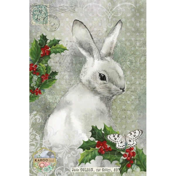 /christmas/KSFP-C012