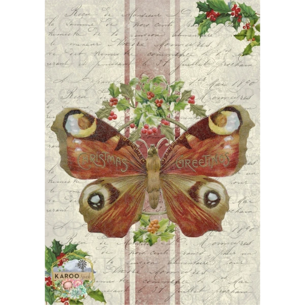 /christmas/KSFP-C020