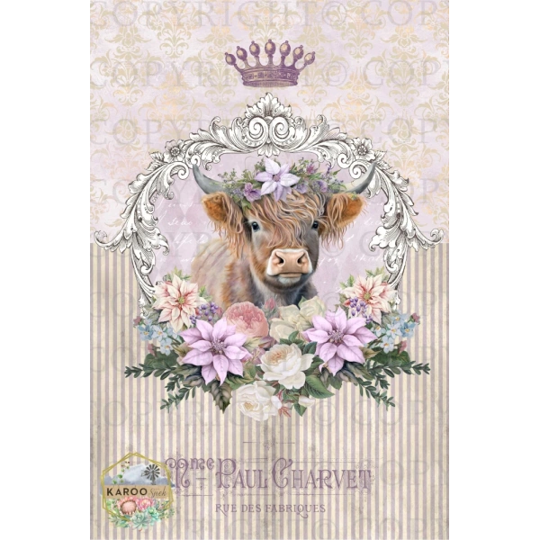 /christmas/KSFP-C034