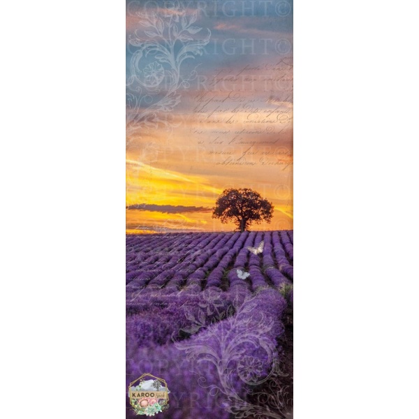 /ksdp/doors/KS-MDD011