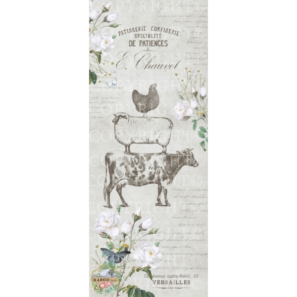 /ksdp/doors/KS-MDD027