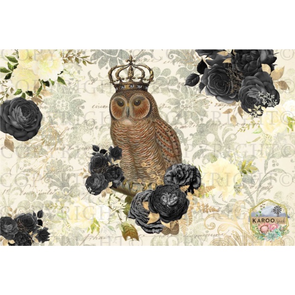 /ksdp/furniture/KS-FP004