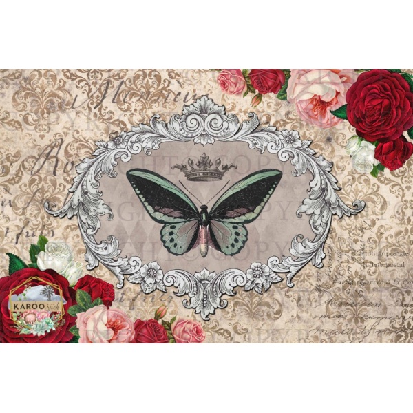 /ksdp/furniture/KS-FP017