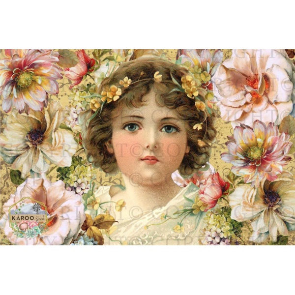 /ksdp/furniture/KS-FP022